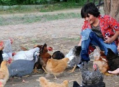 Pousada Fazenda Santa Fe Bezerros Zewnętrze zdjęcie